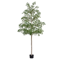 Albero artificiale Bucida Shady Lady verde 400 cm