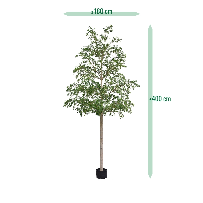 Albero artificiale Bucida Shady Lady verde 400 cm