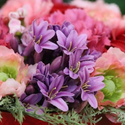 Scatola Regalo Cuore di Fiori Veronique Lissabon