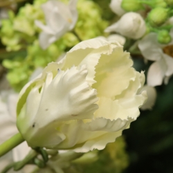 Bouquet d'arte Harmony Berlin - Bianco/Verde