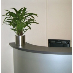 Pianta artificiale di Calathea 85 cm - verde