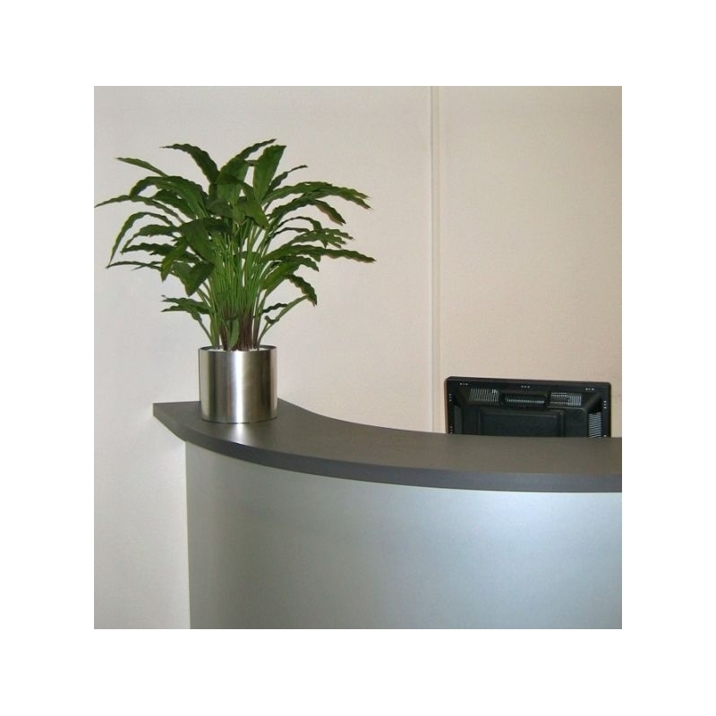 Pianta artificiale di Calathea 85 cm - verde