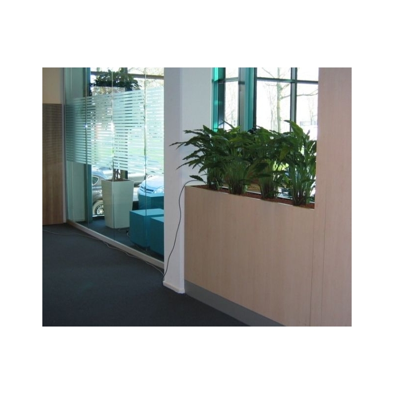 Pianta artificiale di Calathea 85 cm - verde