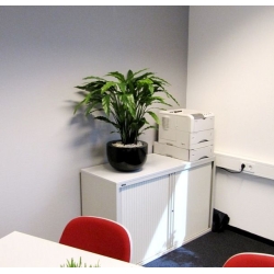 Pianta artificiale di Calathea 85 cm - verde