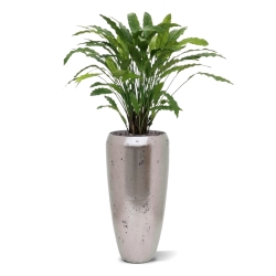 Pianta artificiale di Calathea 85 cm - verde