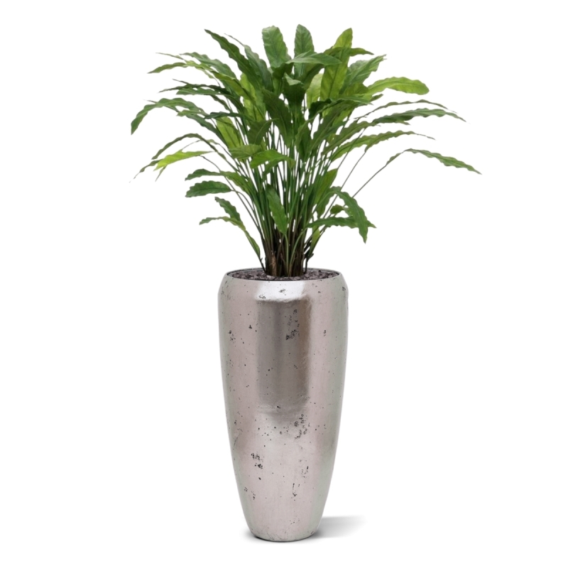 Pianta artificiale di Calathea 85 cm - verde