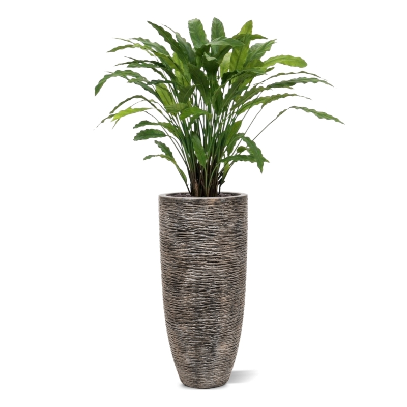 Pianta artificiale di Calathea 85 cm - verde