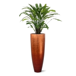 Pianta artificiale di Calathea 85 cm - verde
