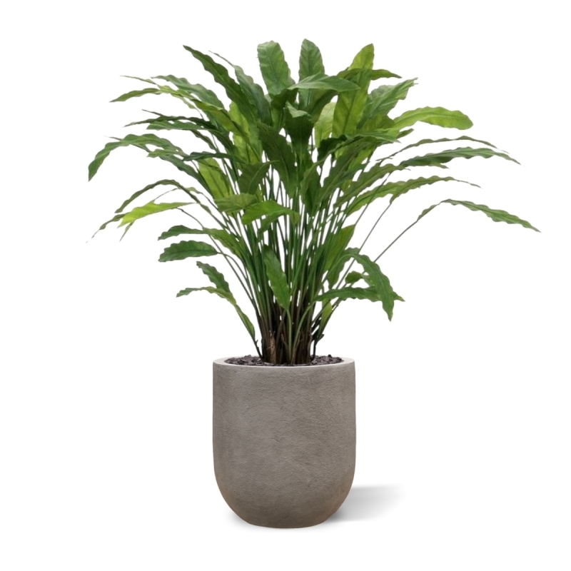 Pianta artificiale di Calathea 85 cm - verde