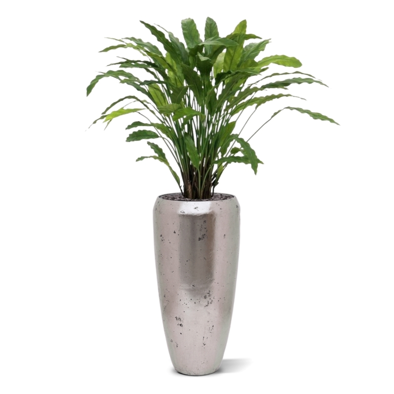 Pianta artificiale di Calathea 85 cm - verde