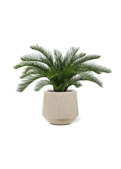 Palma Cycas 60 cm Deluxe