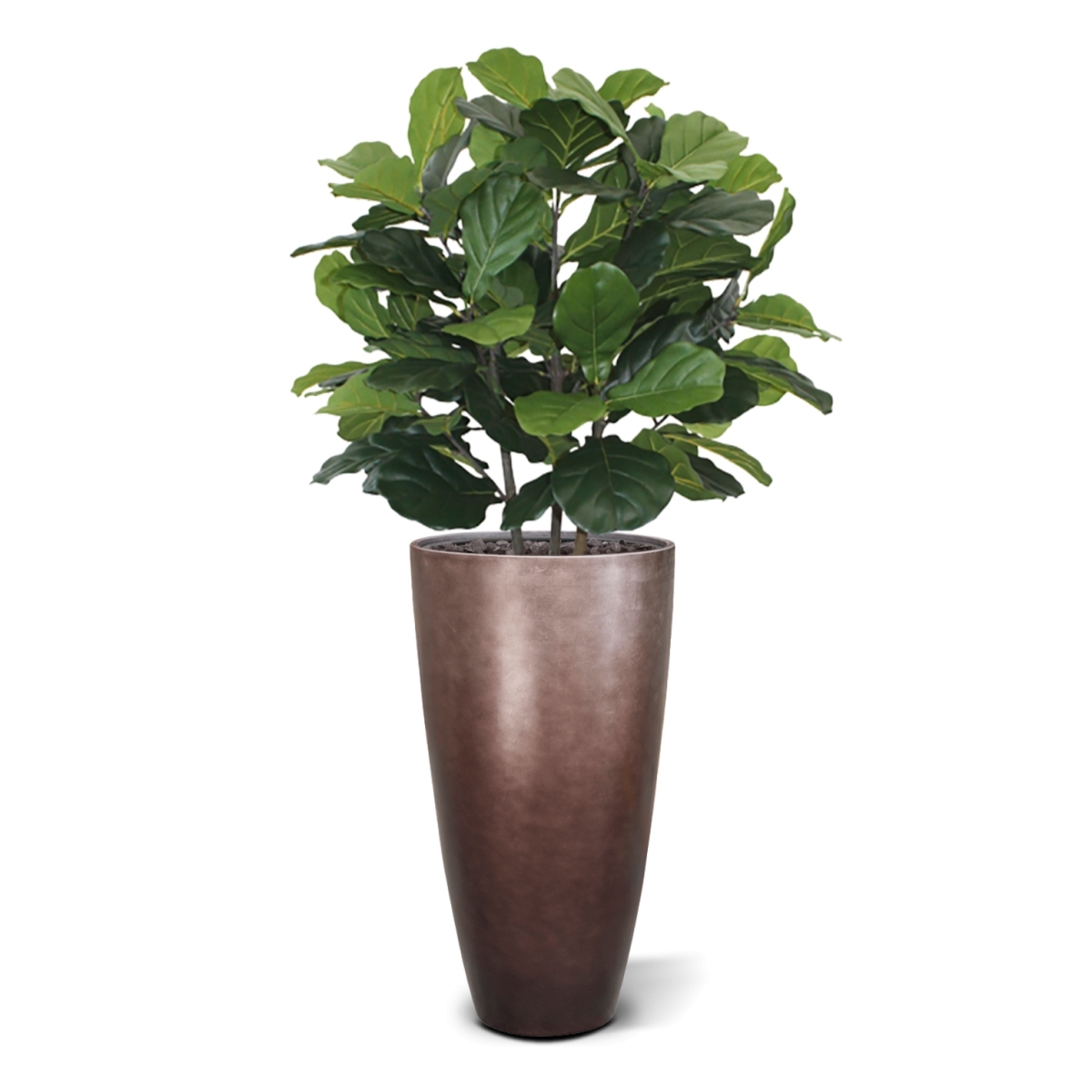 Pianta artificiale Lyrata deluxe 95 cm