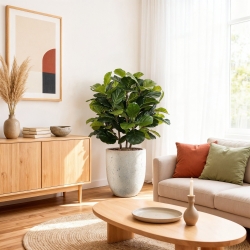 Pianta artificiale Lyrata deluxe 95 cm
