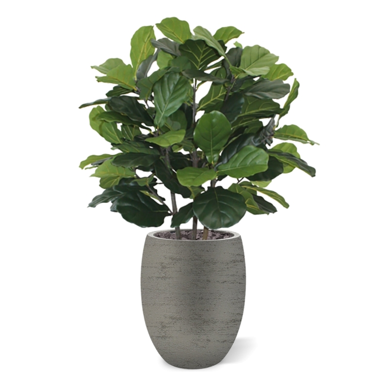 Pianta artificiale Lyrata deluxe 95 cm