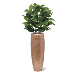 Pianta artificiale Lyrata deluxe 95 cm