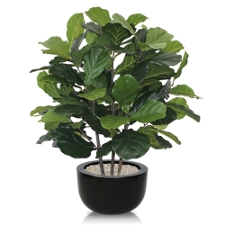 Pianta artificiale Lyrata deluxe 95 cm