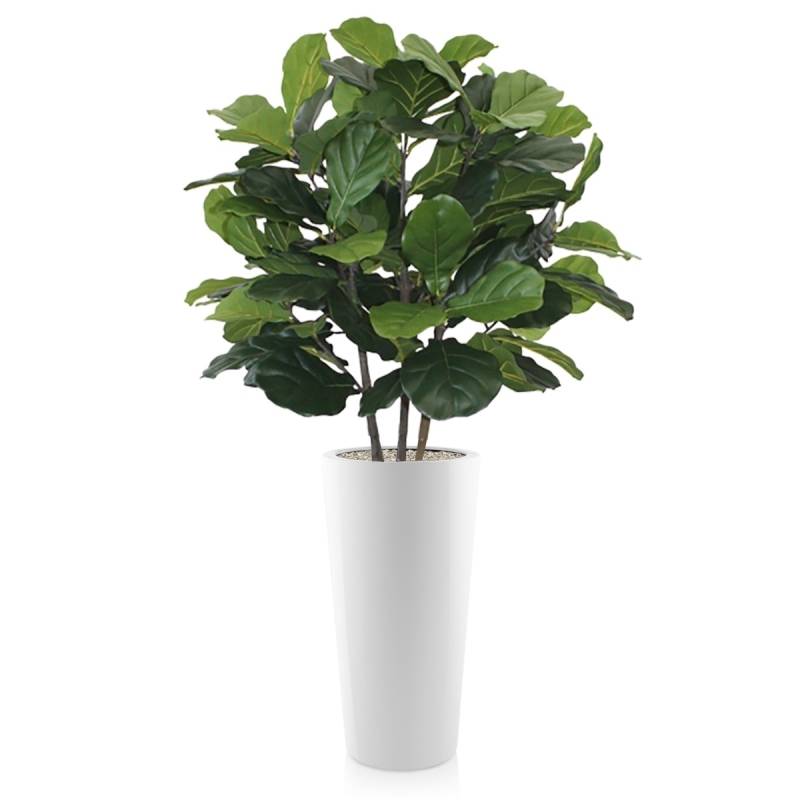 Pianta artificiale Lyrata deluxe 95 cm