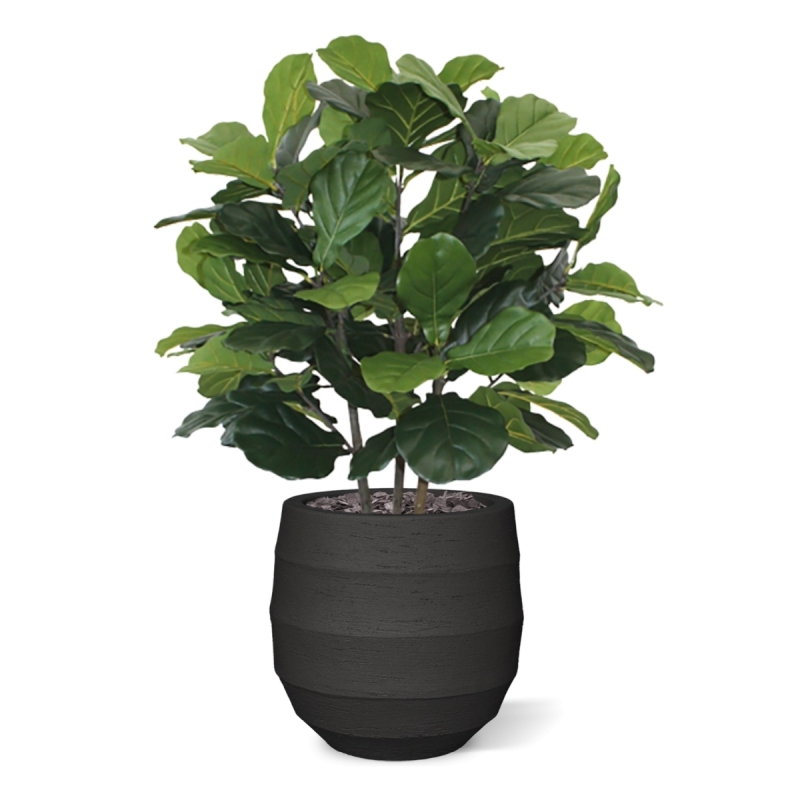 Pianta artificiale Lyrata deluxe 95 cm
