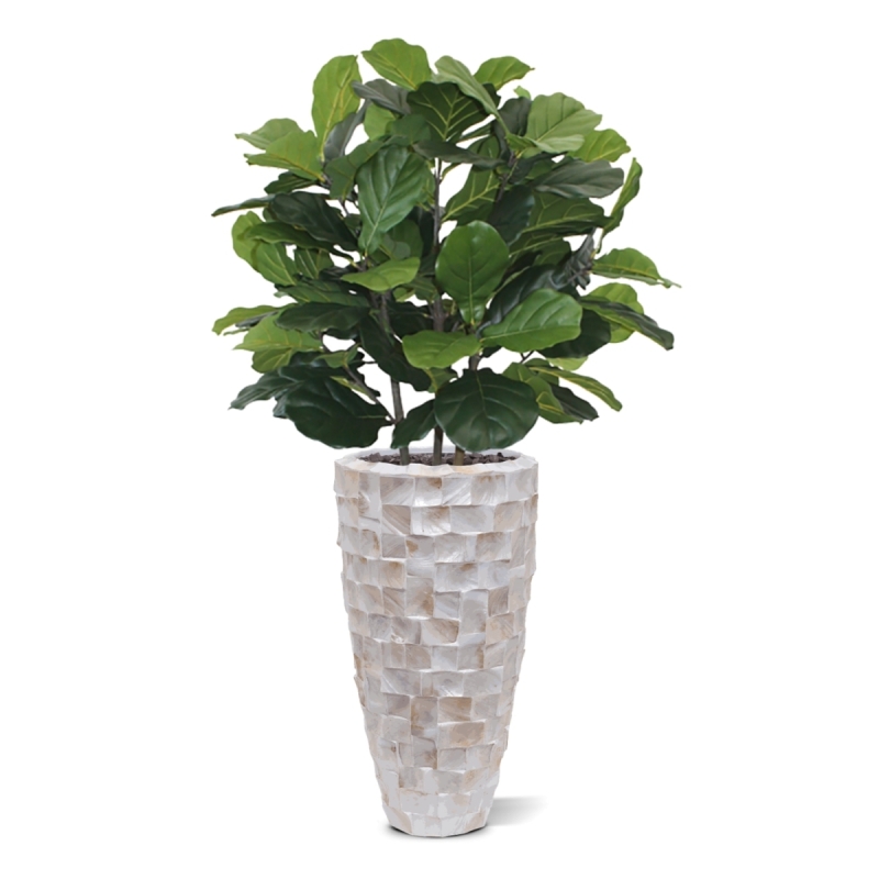 Pianta artificiale Lyrata deluxe 95 cm