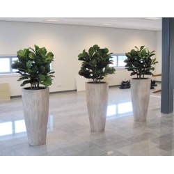 Pianta artificiale Lyrata deluxe 95 cm