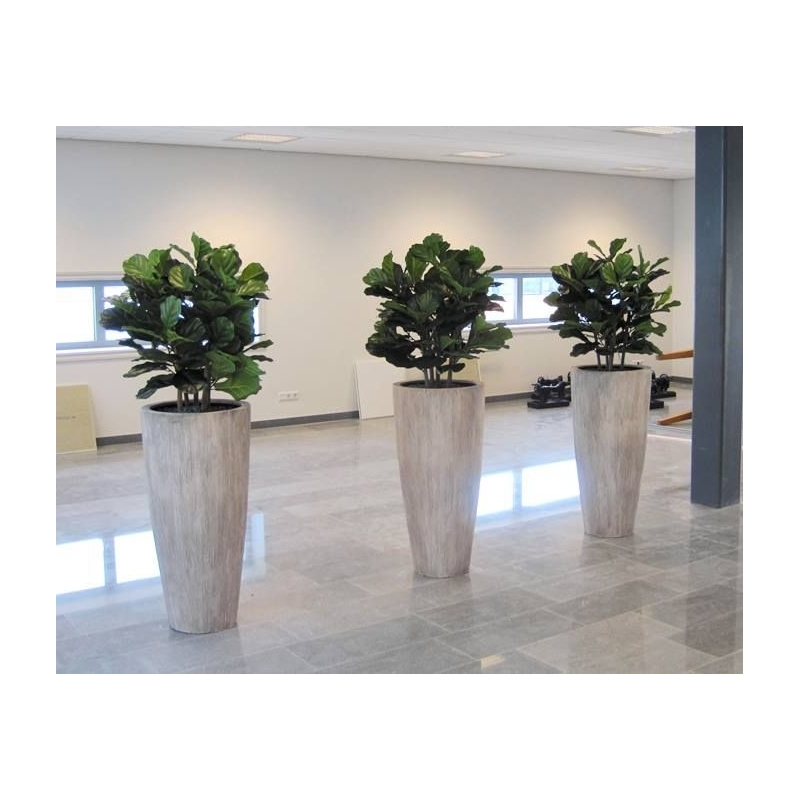 Pianta artificiale Lyrata deluxe 95 cm