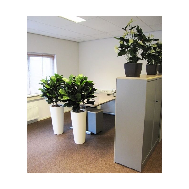 Pianta artificiale Lyrata deluxe 95 cm