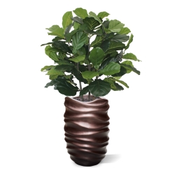 Pianta artificiale Lyrata deluxe 95 cm