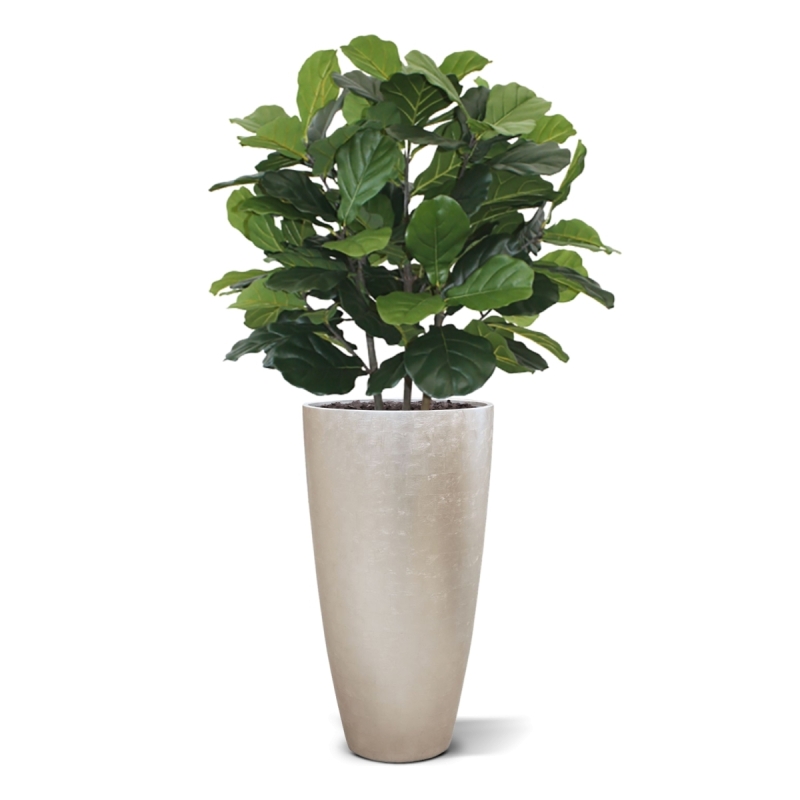 Pianta artificiale Lyrata deluxe 95 cm