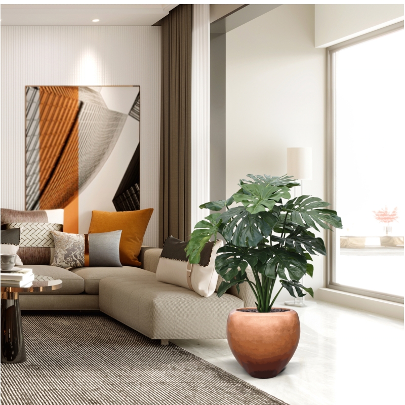 Monstera gigante 100 cm