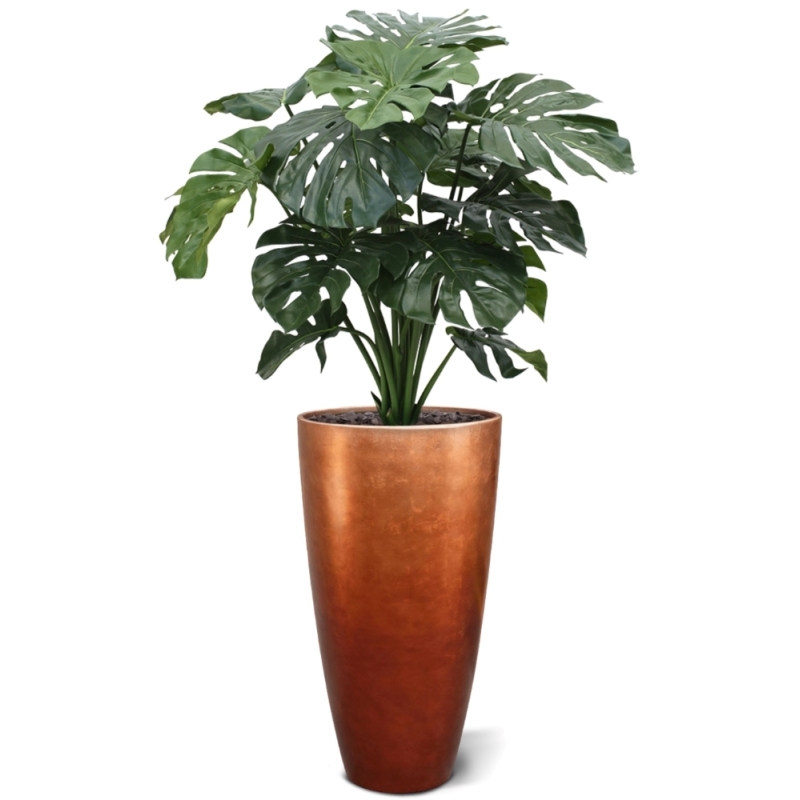 Monstera gigante 100 cm