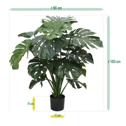 Monstera gigante 100 cm