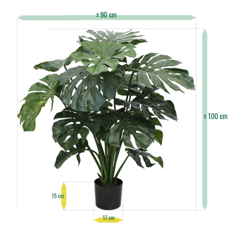 Monstera gigante 100 cm