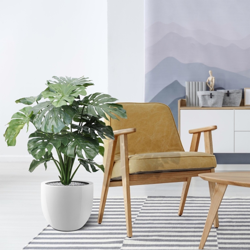 Monstera gigante 100 cm