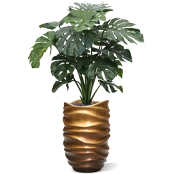 Monstera gigante 100 cm