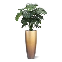 Monstera gigante 100 cm