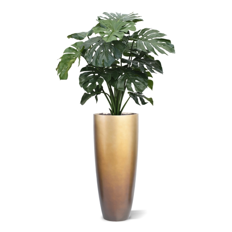 Monstera gigante 100 cm
