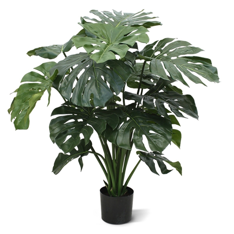 Monstera gigante 100 cm