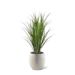 Pianta di canna artificiale deluxe 100 cm - verde - resistente ai raggi UV