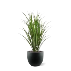 Pianta di canna artificiale deluxe 100 cm - verde - resistente ai raggi UV