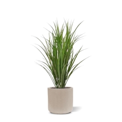 Pianta di canna artificiale deluxe 100 cm - verde - resistente ai raggi UV
