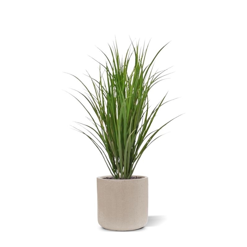 Pianta di canna artificiale deluxe 100 cm - verde - resistente ai raggi UV