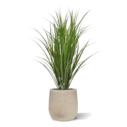 Pianta di canna artificiale deluxe 100 cm - verde - resistente ai raggi UV