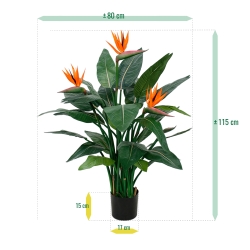 Strelitzia Deluxe 115 cm