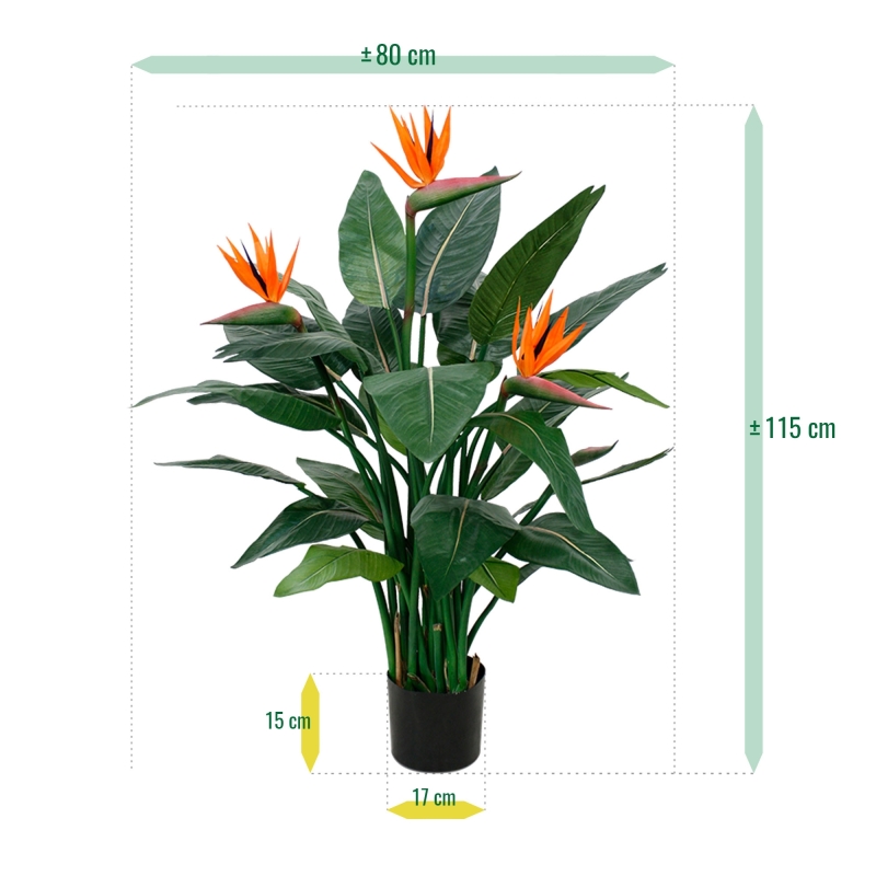 Strelitzia Deluxe 115 cm