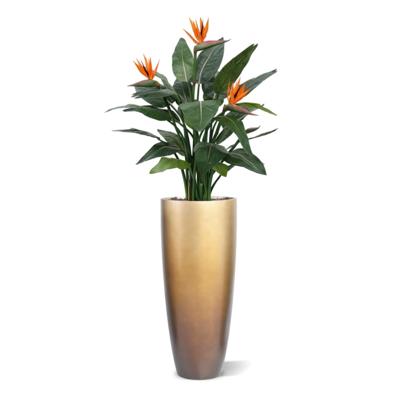 Strelitzia Deluxe 115 cm