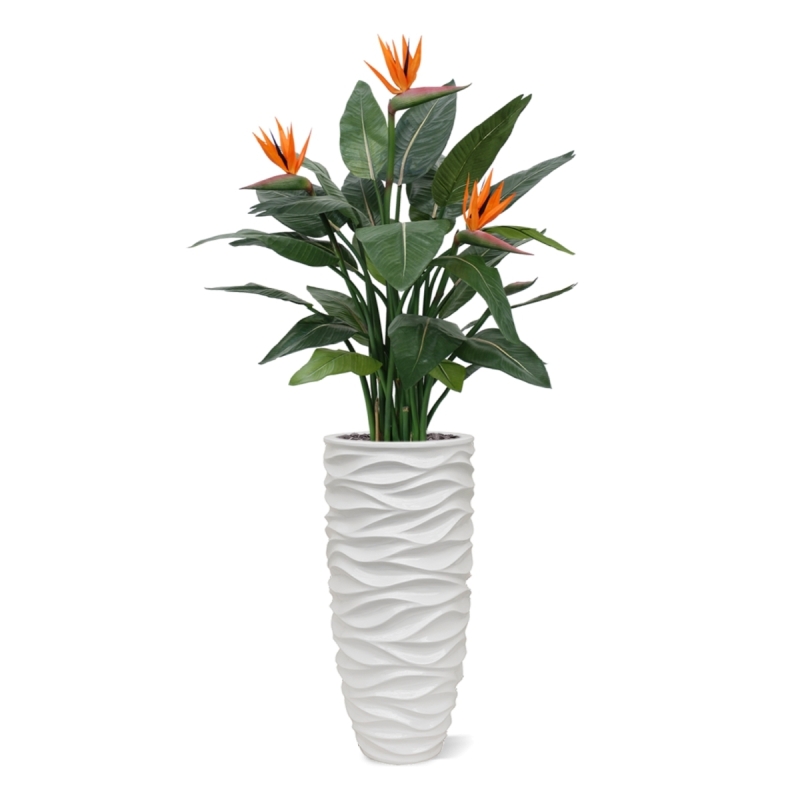 Strelitzia Deluxe 115 cm