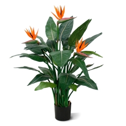 Strelitzia Deluxe 115 cm