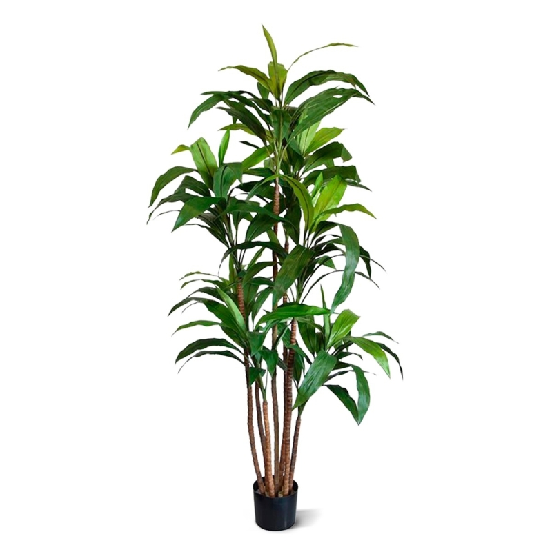 Draceana Fragrans XL albero artificiale 170 cm