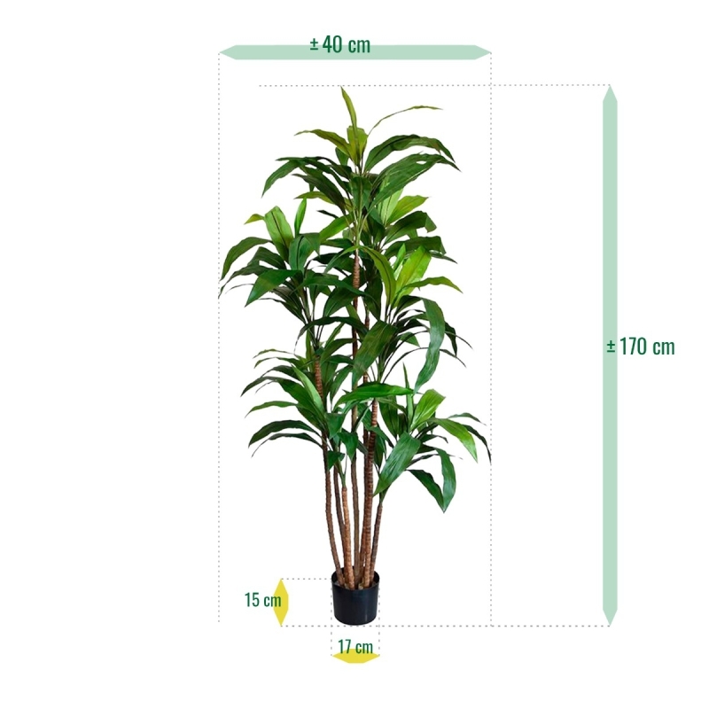 Draceana Fragrans XL albero artificiale 170 cm