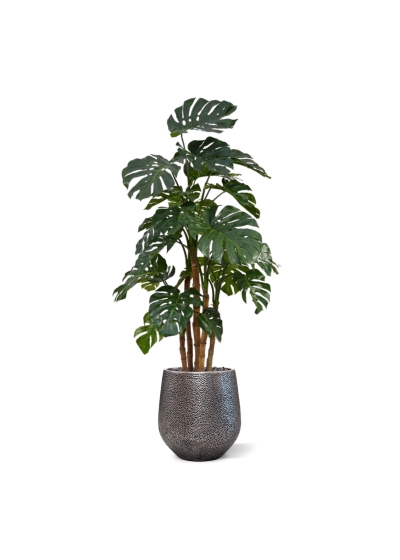 Monstera deluxe x5 pianta artificiale - 180 cm